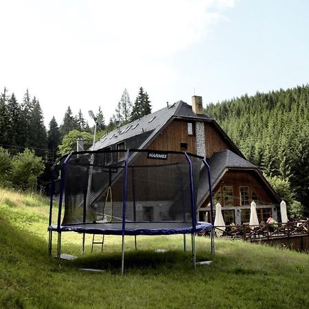 Horsky Hotel Vidly Карлова Студанка Екстер'єр фото