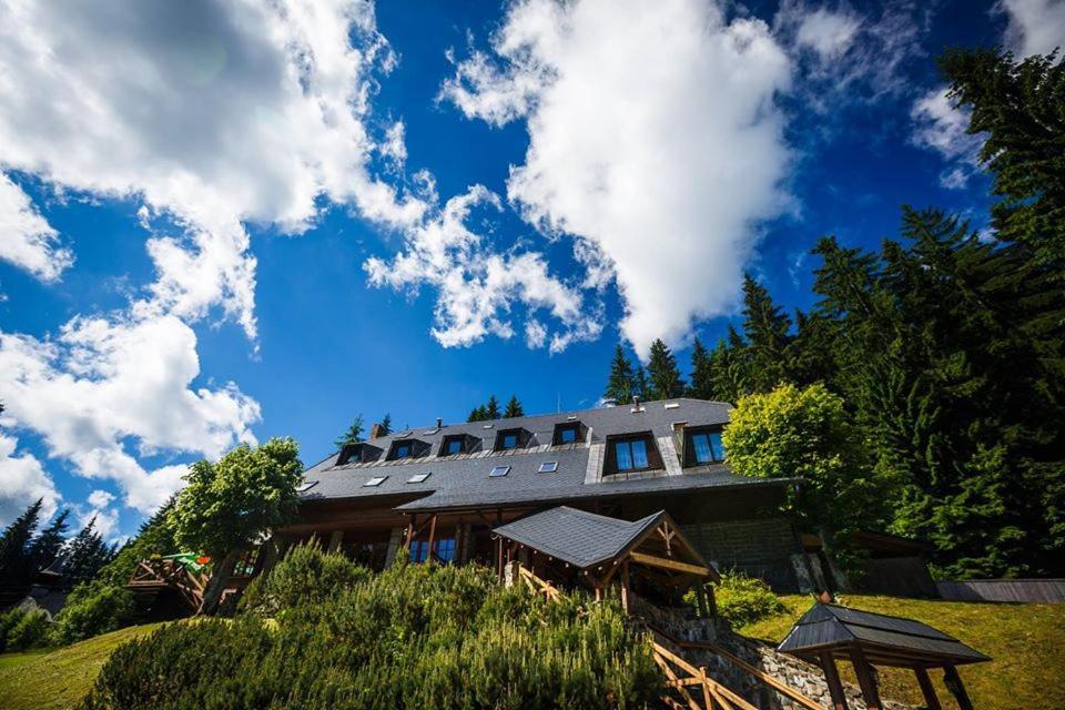 Horsky Hotel Vidly Карлова Студанка Екстер'єр фото