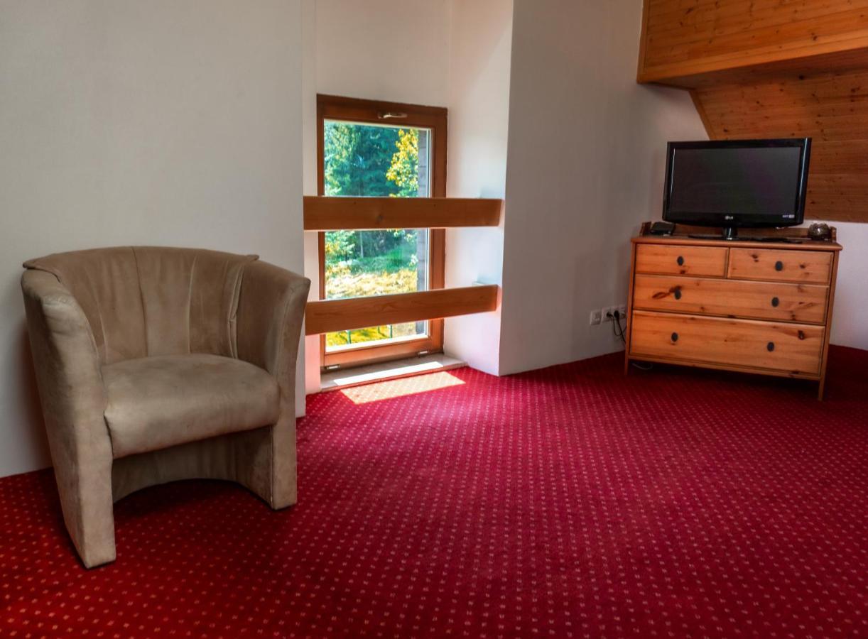 Horsky Hotel Vidly Карлова Студанка Екстер'єр фото