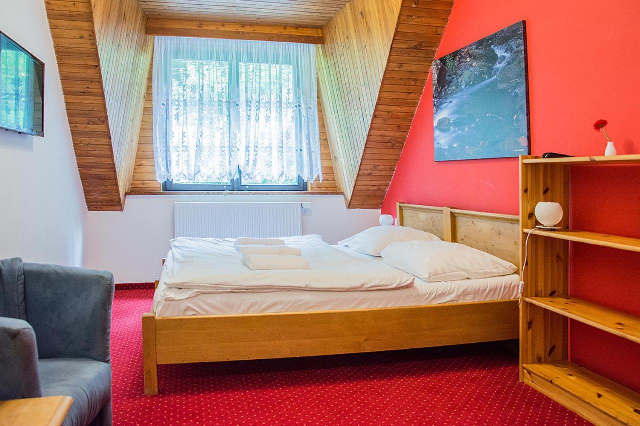 Horsky Hotel Vidly Карлова Студанка Екстер'єр фото