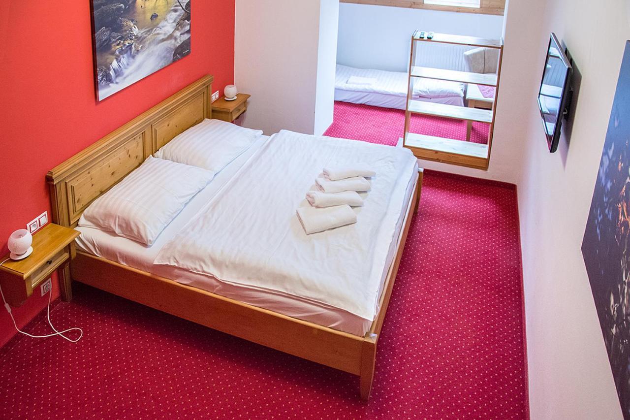Horsky Hotel Vidly Карлова Студанка Екстер'єр фото