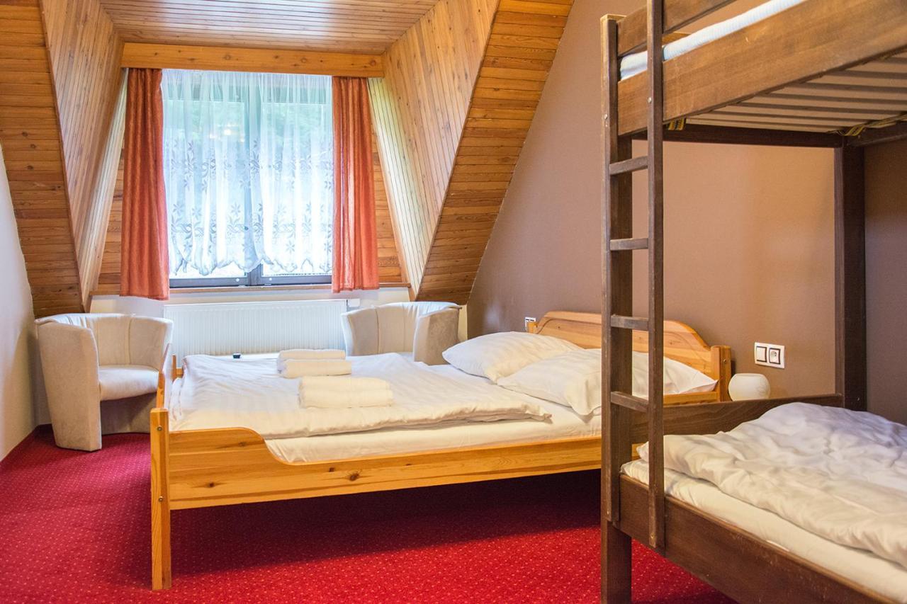 Horsky Hotel Vidly Карлова Студанка Екстер'єр фото